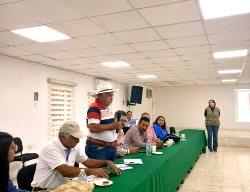 Validación de resultados de línea base 2024 del programa TeleGAN en Villahermosa y Palenque